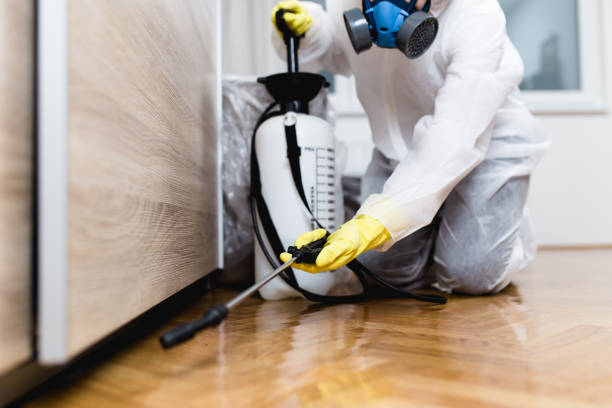 Best Best Pest Control Companies  in East Rancho Dominguez, CA