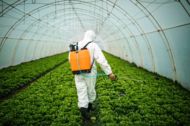 Best Affordable Pest Control Services  in East Rancho Dominguez, CA