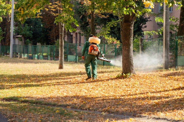 Reliable East Rancho Dominguez, CA Pest Control Solutions