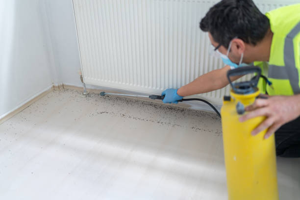 Pest Control for Restaurants in East Rancho Dominguez, CA