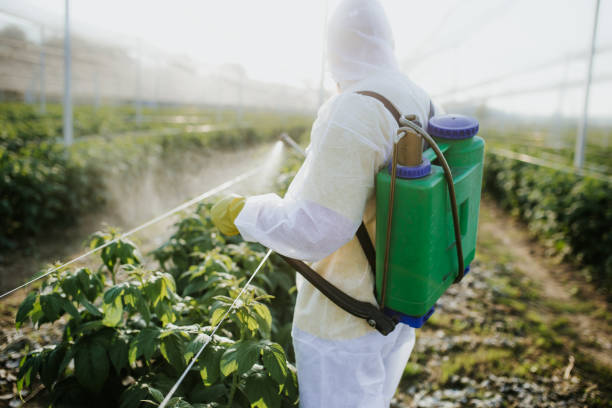  East Rancho Dominguez, CA Pest Control Pros